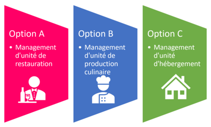 Présentation des 3 options